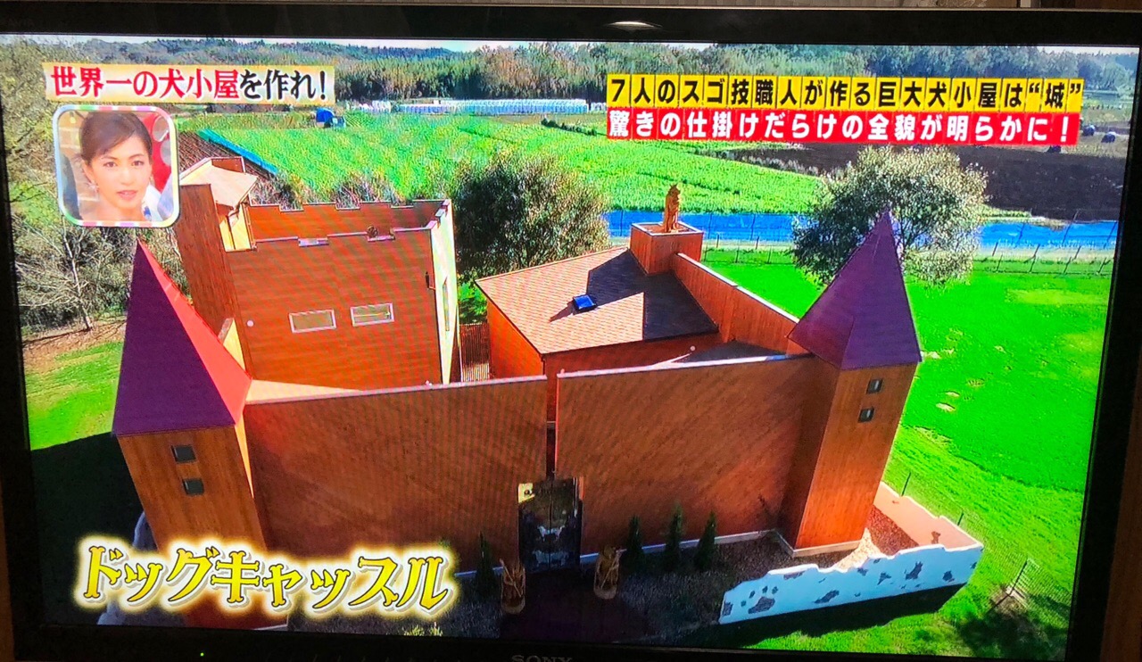 高木雄也の犬小屋の完成画像や費用は 東京ドイツ村はどこ 所さんの学校では教えてくれない ドメトリヴィア